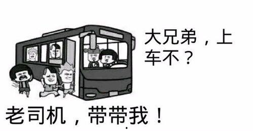 老司机污福利在线,揭秘网络色情产业的灰色地带